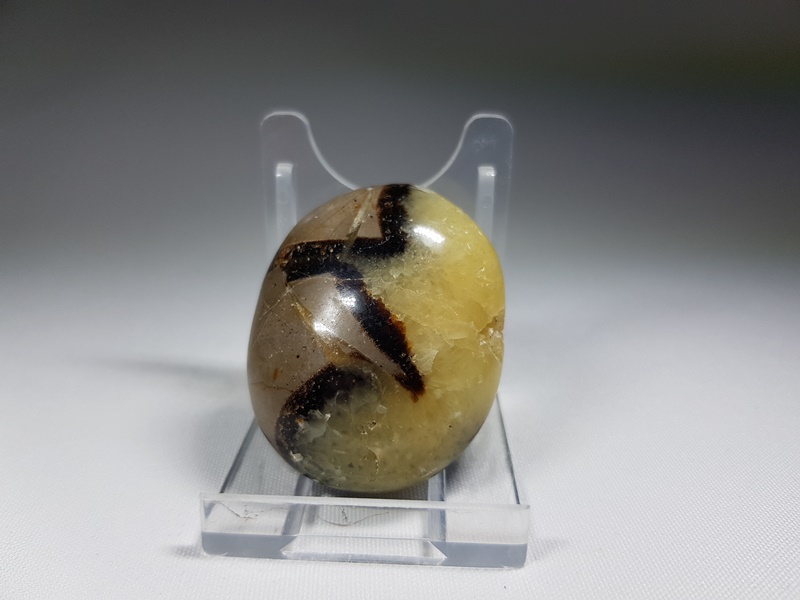 Septarian -Dragon stone Cr80 Lavriostone