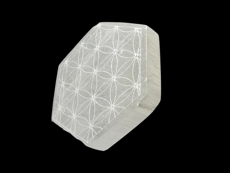 diskos-selhnith-louloudi-zohs-psel19-lavriostone