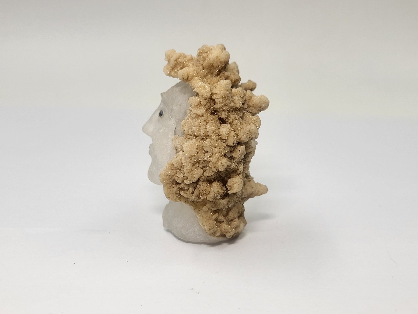 xeiropoihto-glupto-kefali-apo-xalazia-scu32 (4) xeiropoihto-glupto-kefali-apo-xalazia-scu32 (1)